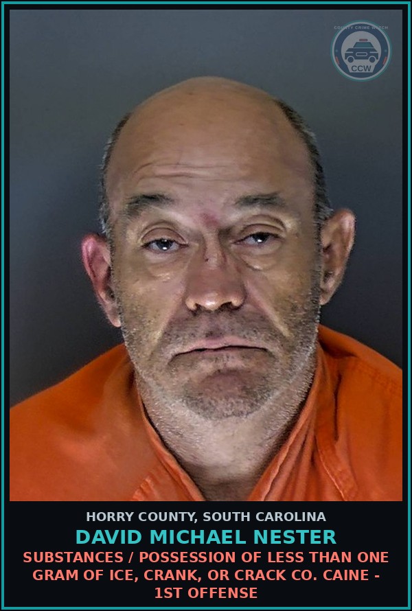 Booking mugshot of David Michael Nester in Horry County