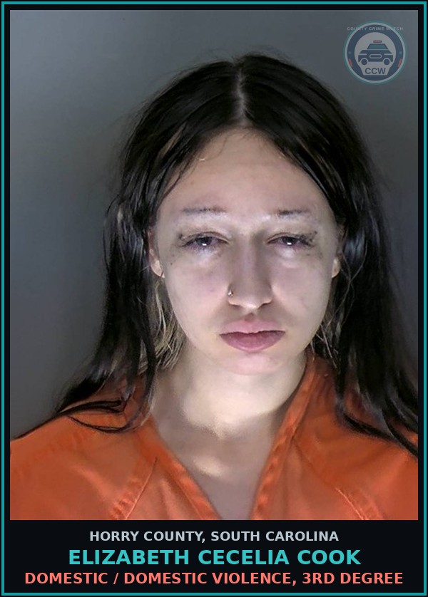 Booking mugshot of Elizabeth Cecelia Cook in Horry County