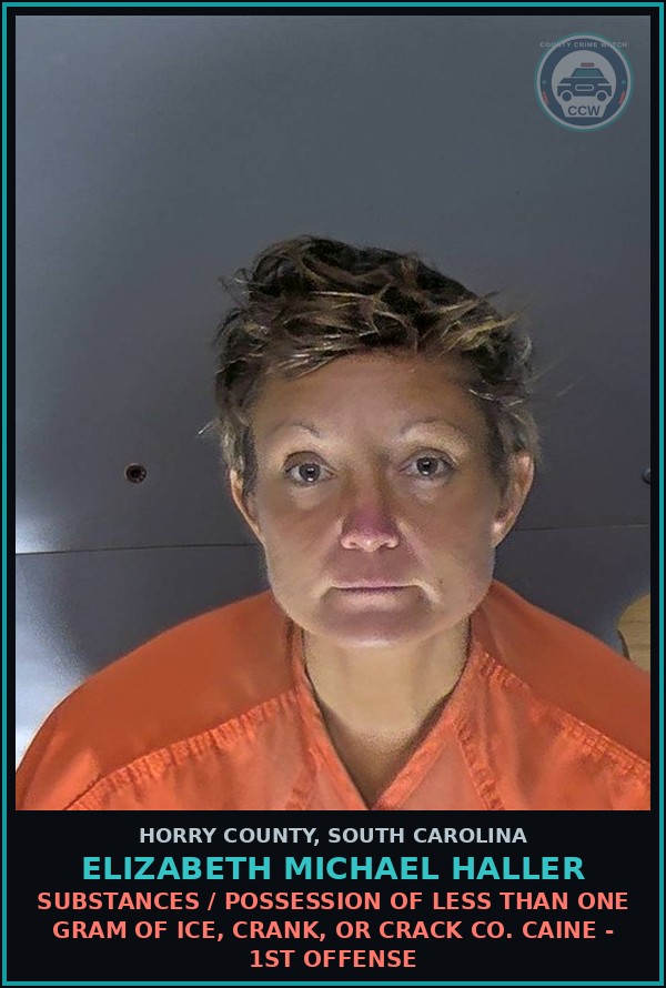 Booking mugshot of Elizabeth Michael Haller in Horry County