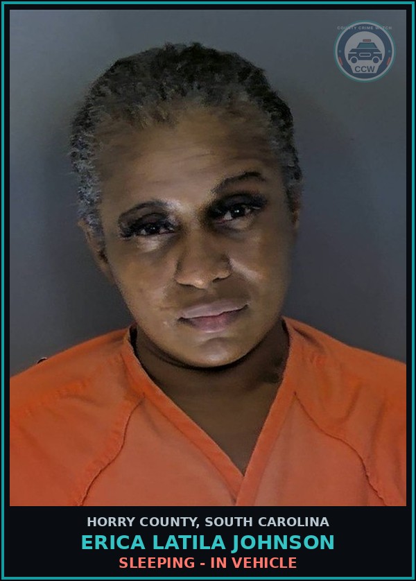 Booking mugshot of Erica Latila Johnson in Horry County