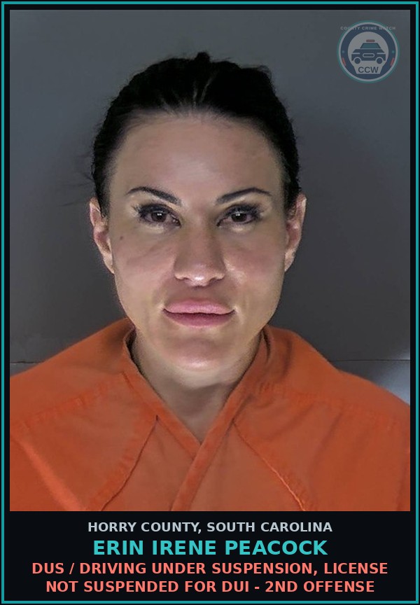 Booking mugshot of Erin Irene Peacock in Horry County