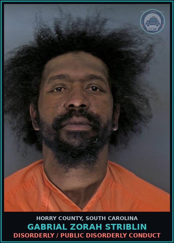 Booking mugshot of Gabrial Zorah Striblin in Horry County