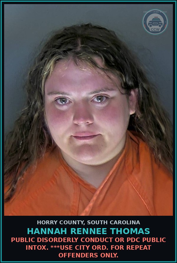 Booking mugshot of Hannah Rennee Thomas in Horry County