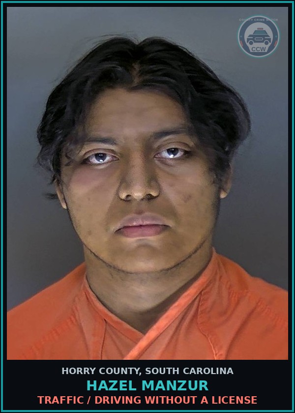 Booking mugshot of Hazel Manzur in Horry County