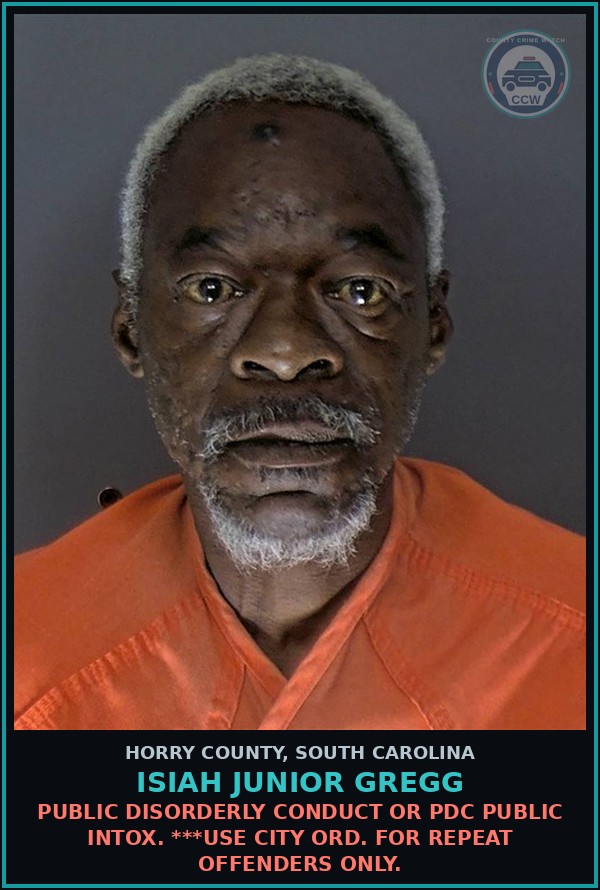 Booking mugshot of Isiah Junior Gregg in Horry County