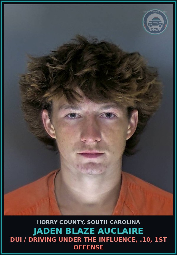 Booking mugshot of Jaden Blaze Auclaire in Horry County