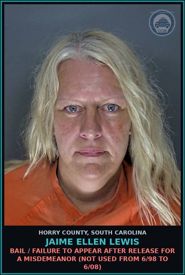 Booking mugshot of Jaime Ellen Lewis in Horry County