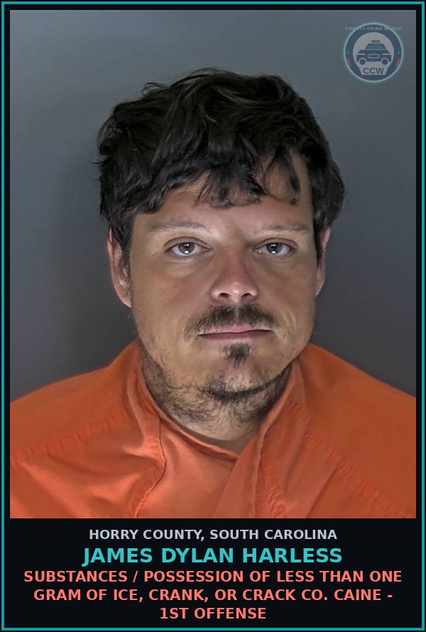 Booking mugshot of James Dylan Harless in Horry County