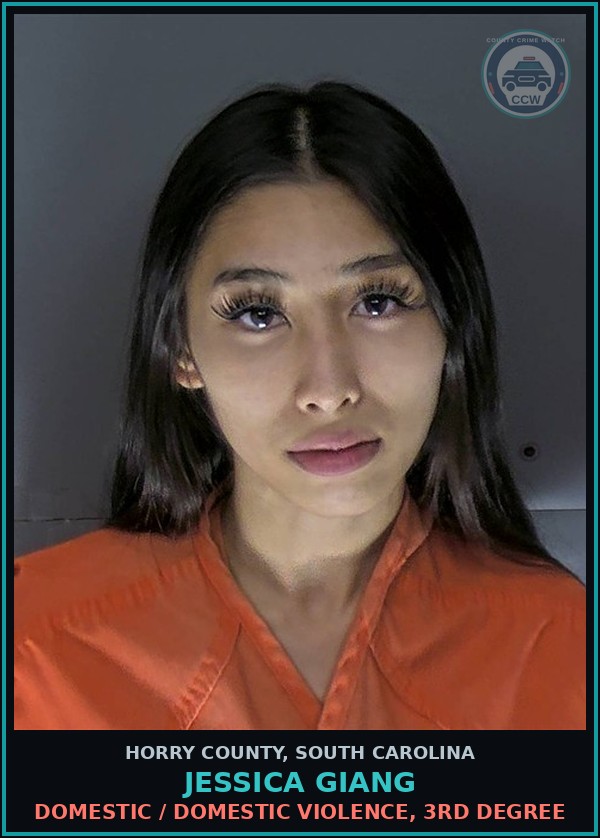 Booking mugshot of Jessica Giang in Horry County