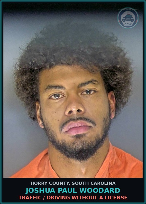 Booking mugshot of Joshua Paul Woodard in Horry County