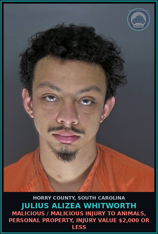 Booking mugshot of Julius Alizea Whitworth in Horry County
