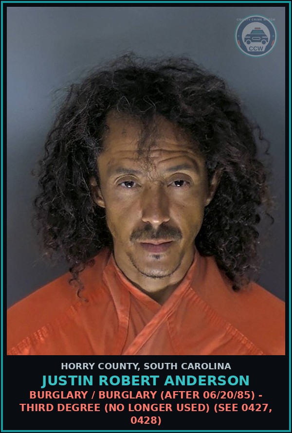 Booking mugshot of Justin Robert Anderson in Horry County
