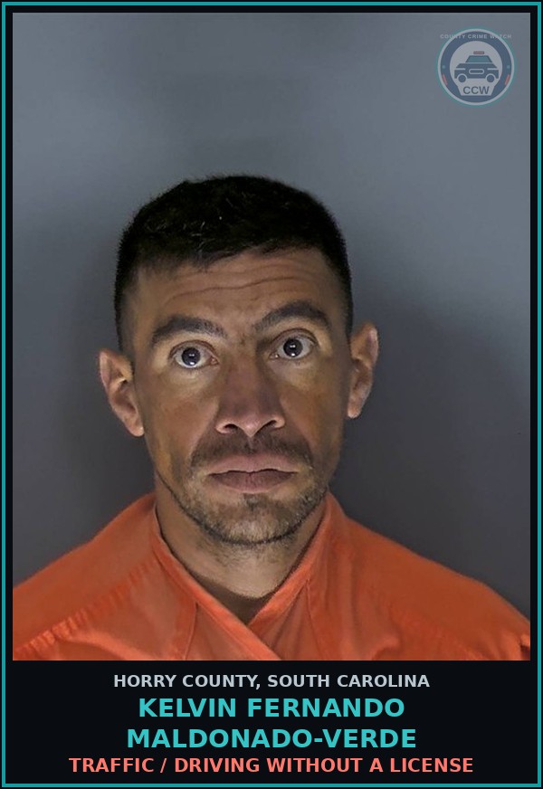 Booking mugshot of Kelvin Fernando Maldonado-Verde in Horry County