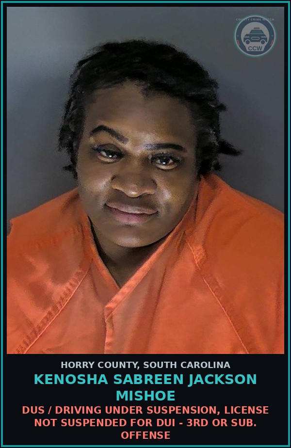 Booking mugshot of Kenosha Sabreen Jackson Mishoe in Horry County