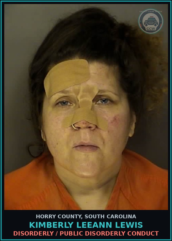 Booking mugshot of Kimberly Leeann Lewis in Horry County