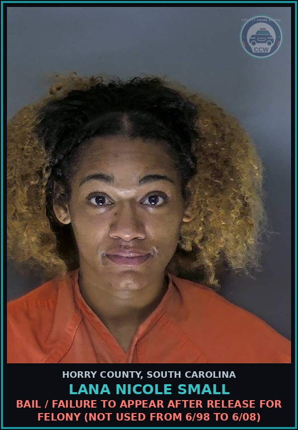Booking mugshot of Lana Nicole Small in Horry County