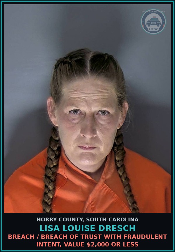 Booking mugshot of Lisa Louise Dresch in Horry County
