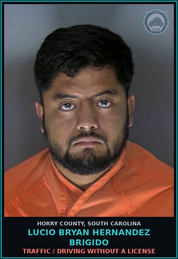 Booking mugshot of Lucio Bryan Hernandez Brigido in Horry County