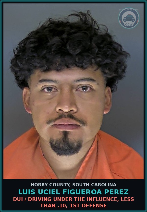 Booking mugshot of Luis Uciel Figueroa Perez in Horry County