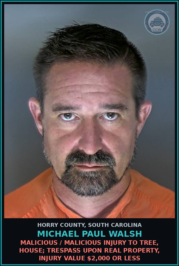 Booking mugshot of Michael Paul Walsh in Horry County