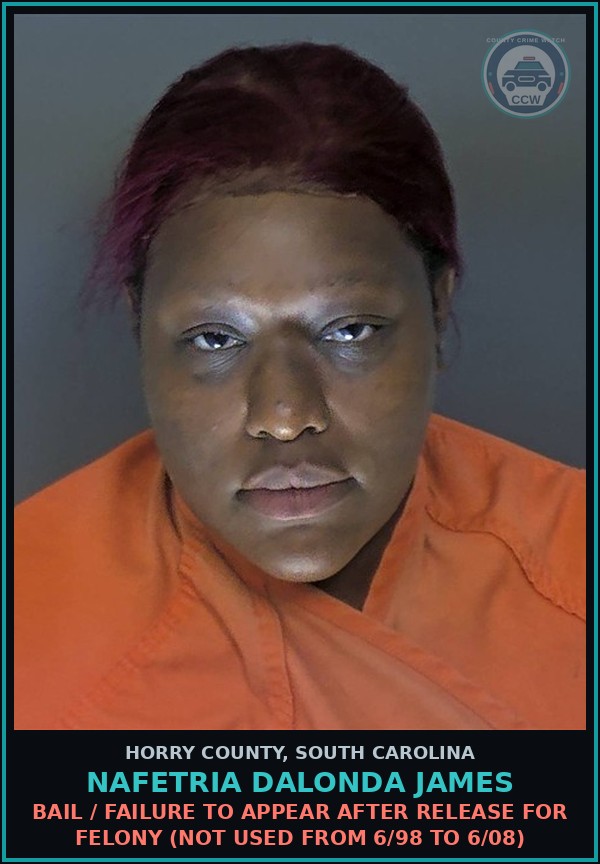 Booking mugshot of Nafetria Dalonda James in Horry County