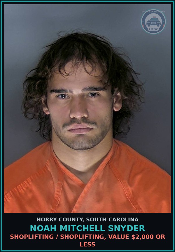 Booking mugshot of Noah Mitchell Snyder in Horry County