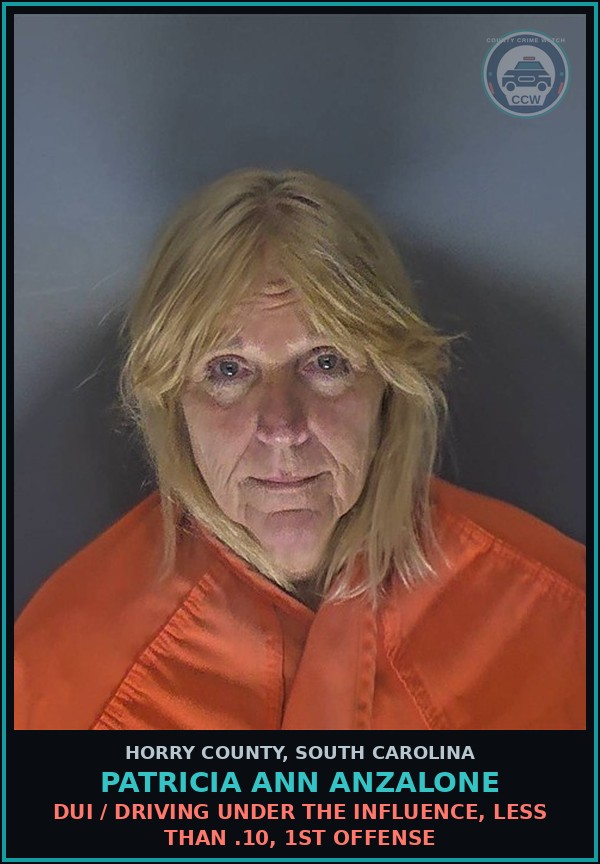 Booking mugshot of Patricia Ann Anzalone in Horry County