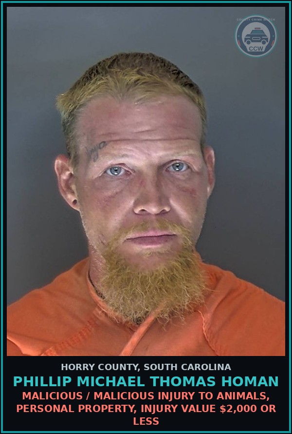 Booking mugshot of Phillip Michael Thomas Homan in Horry County
