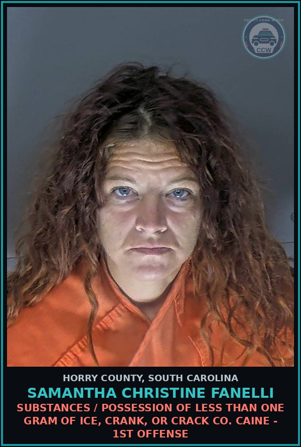 Booking mugshot of Samantha Christine Fanelli in Horry County