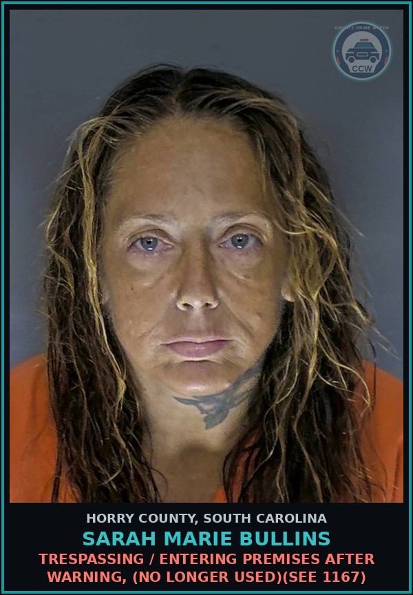 Booking mugshot of Sarah Marie Bullins in Horry County