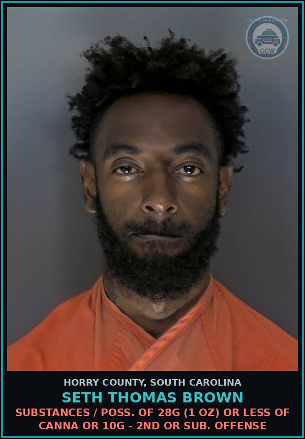 Booking mugshot of Seth Thomas Brown in Horry County