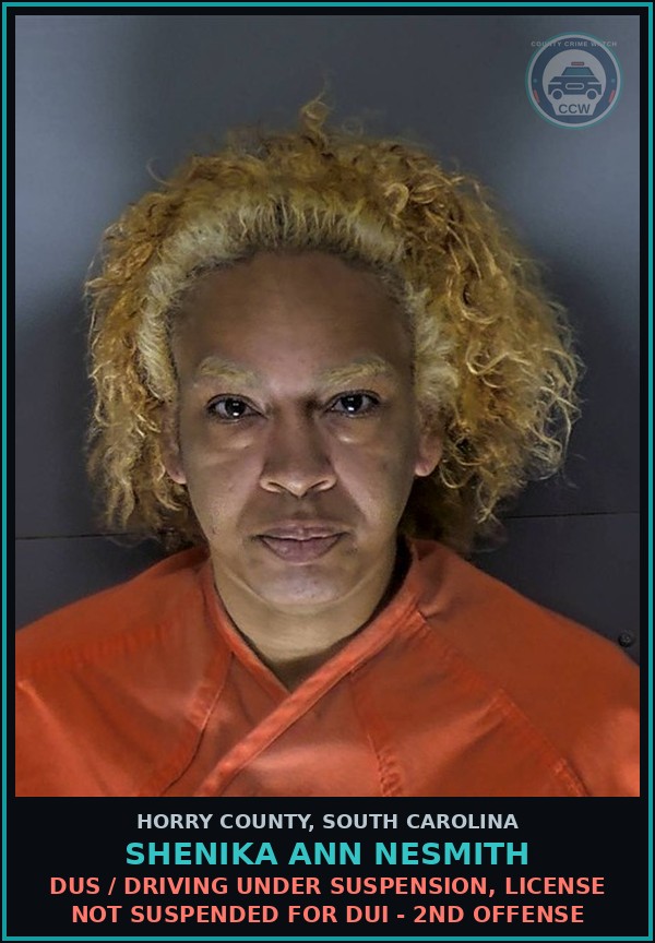Booking mugshot of Shenika Ann Nesmith in Horry County