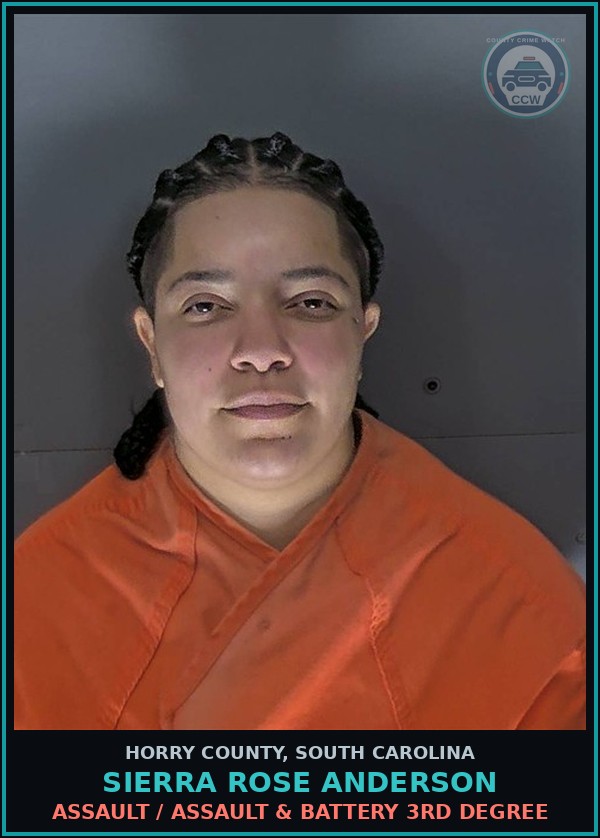 Booking mugshot of Sierra Rose Anderson in Horry County