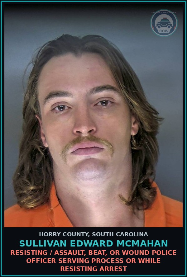 Booking mugshot of Sullivan Edward Mcmahan in Horry County