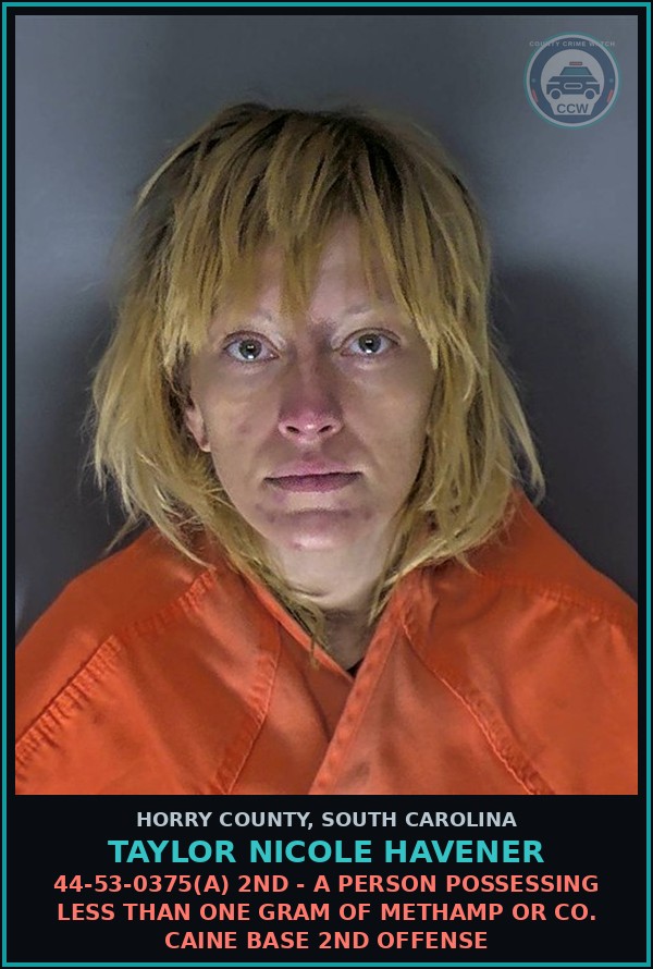 Booking mugshot of Taylor Nicole Havener in Horry County