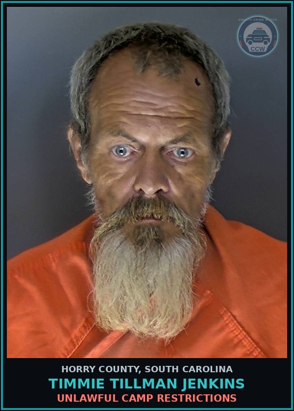 Booking mugshot of Timmie Tillman Jenkins in Horry County
