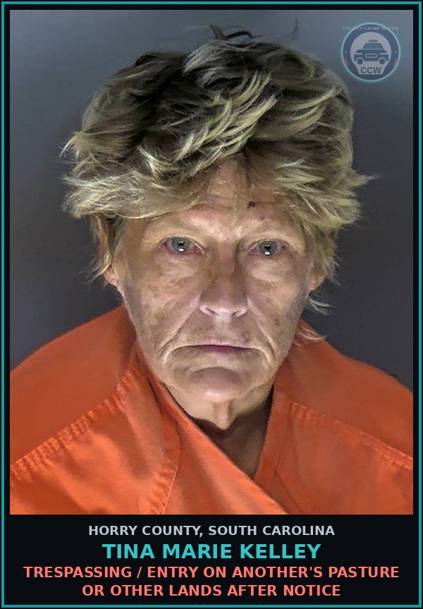 Booking mugshot of Tina Marie Kelley in Horry County