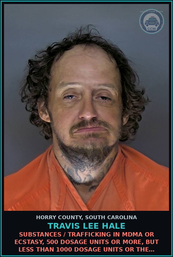 Booking mugshot of Travis Lee Hale in Horry County