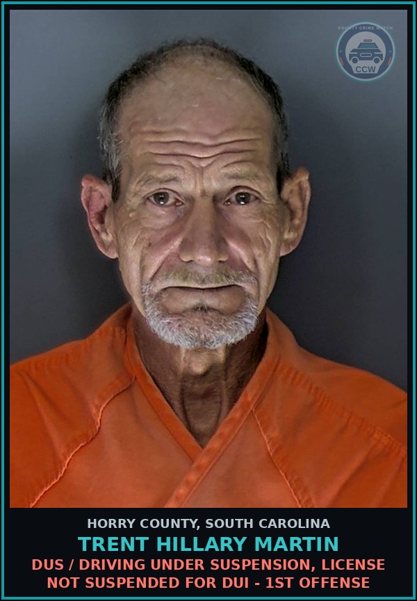Booking mugshot of Trent Hillary Martin in Horry County