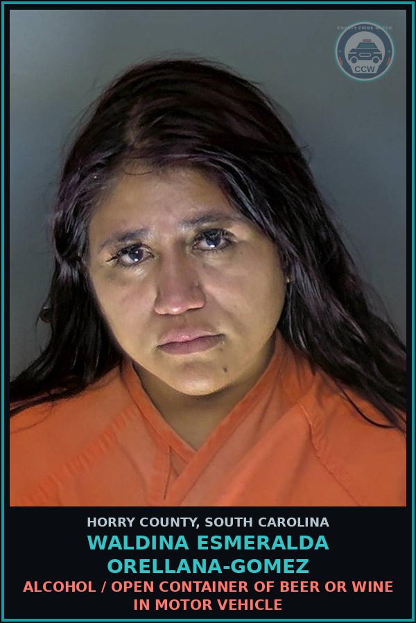 Booking mugshot of Waldina Esmeralda Orellana-Gomez in Horry County