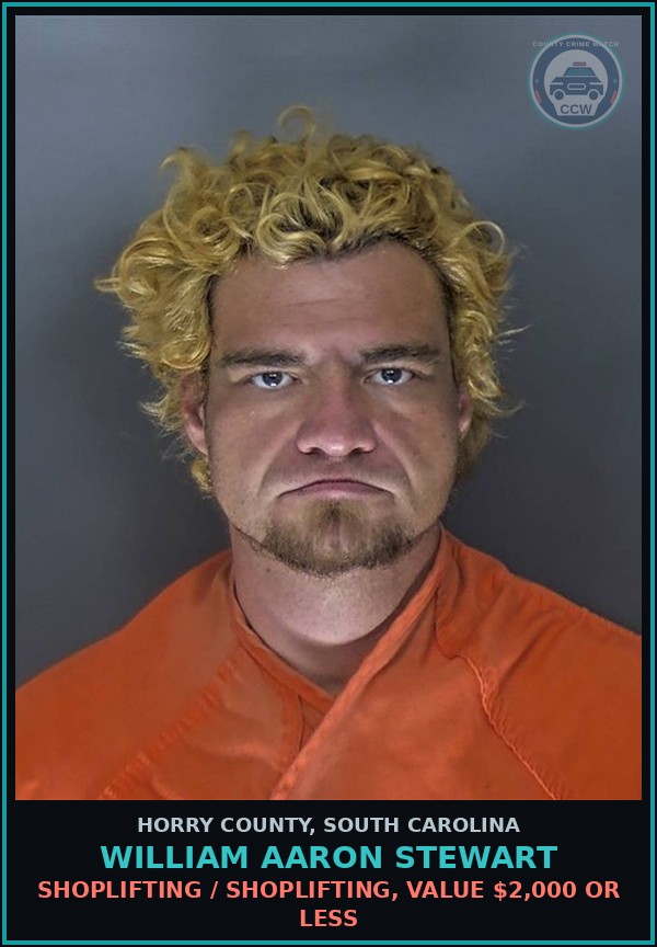 Booking mugshot of William Aaron Stewart in Horry County