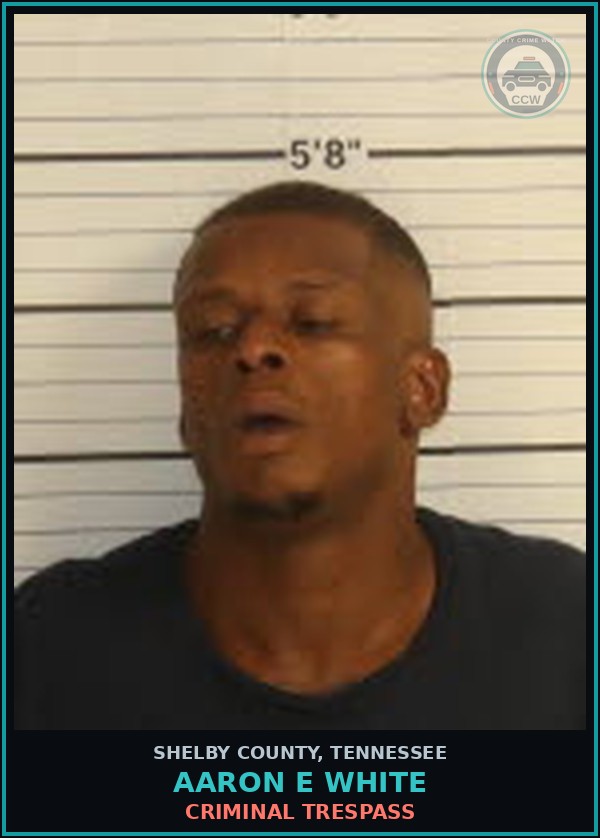 Booking mugshot of AARON E WHITE in Shelby County