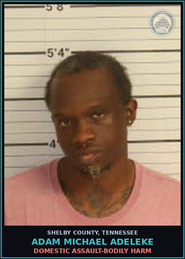 Booking mugshot of ADAM MICHAEL ADELEKE in Shelby County