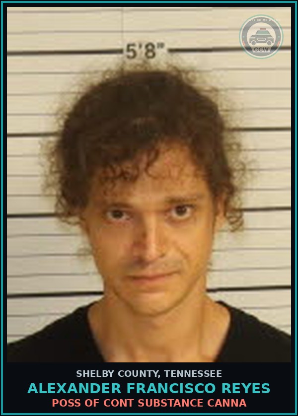 Booking mugshot of ALEXANDER FRANCISCO REYES in Shelby County
