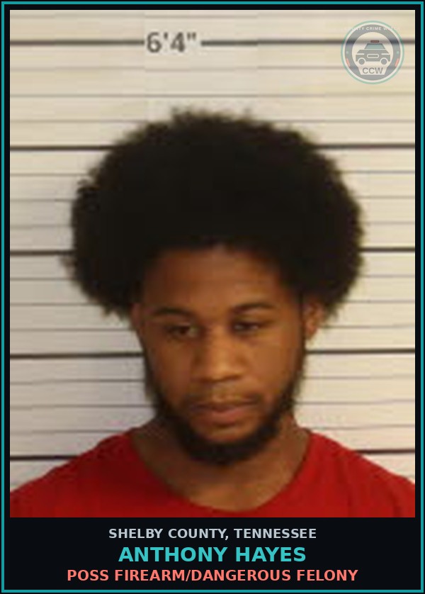 Booking mugshot of ANTHONY HAYES in Shelby County
