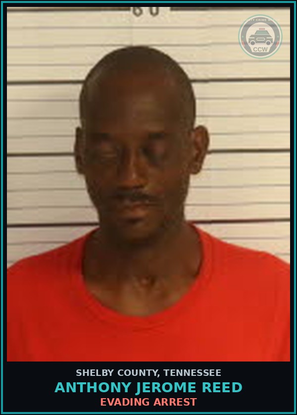 Booking mugshot of ANTHONY JEROME REED in Shelby County