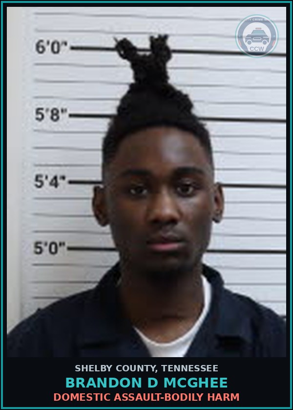 Booking mugshot of BRANDON D MCGHEE in Shelby County