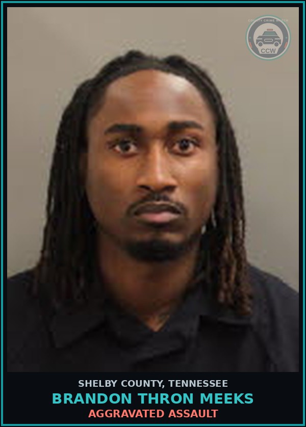 Booking mugshot of BRANDON THRON MEEKS in Shelby County