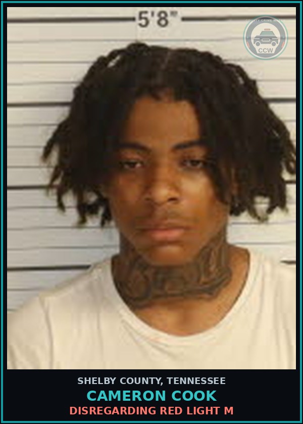 Booking mugshot of CAMERON COOK in Shelby County