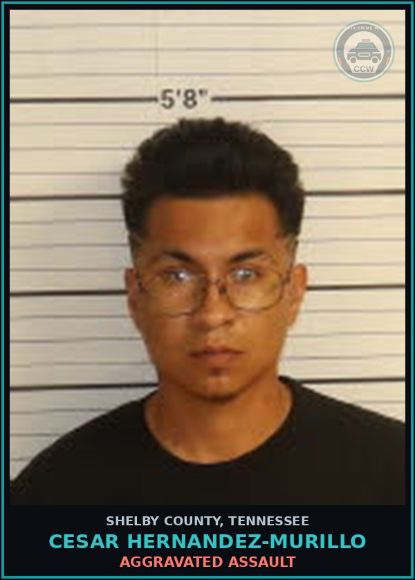 Booking mugshot of CESAR HERNANDEZ-MURILLO in Shelby County